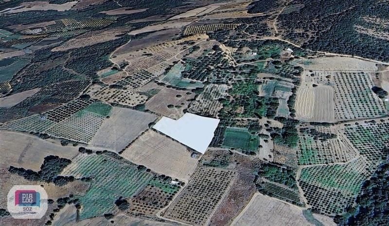 Dialog Söz Den Kestel Ümitalan Köyünde Satılık Meyve Bahçesi - Görsel 2