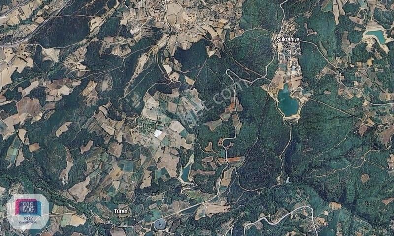 Dialog Söz Den Kestel Ümitalan Köyünde Satılık Meyve Bahçesi - Görsel 3