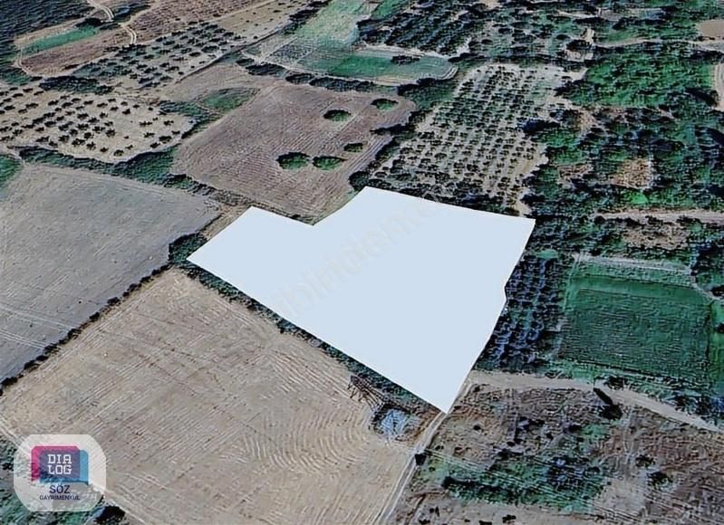 Dialog Söz Den Kestel Ümitalan Köyünde Satılık Meyve Bahçesi - Görsel 6