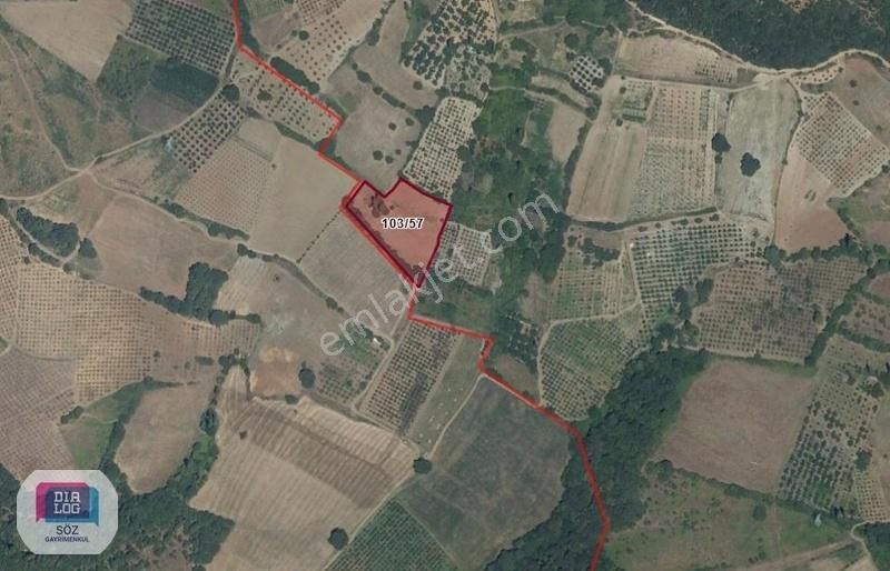 Dialog Söz Den Kestel Ümitalan Köyünde Satılık Meyve Bahçesi - Görsel 8