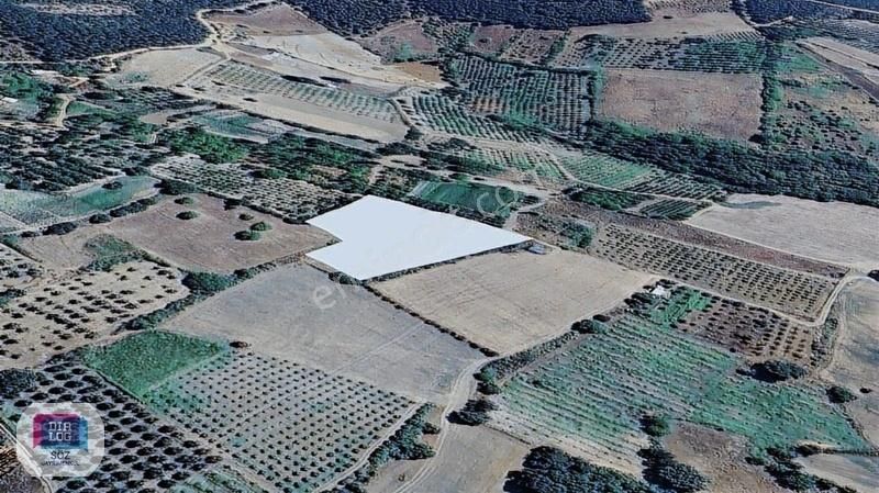 Dialog Söz Den Kestel Ümitalan Köyünde Satılık Meyve Bahçesi - Görsel 5