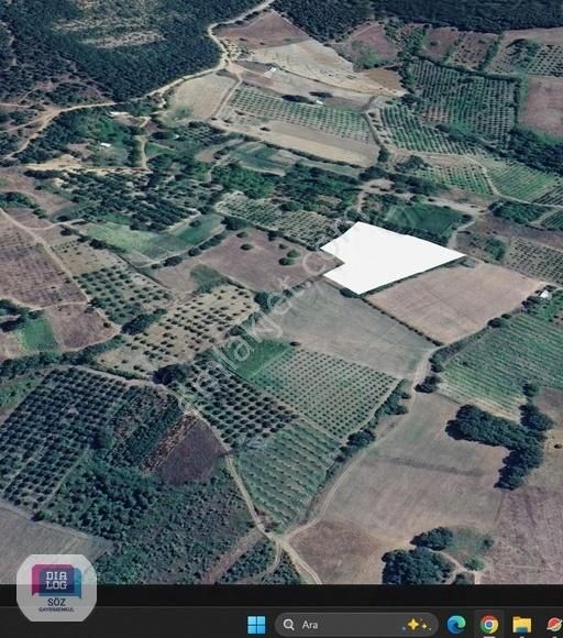 Dialog Söz Den Kestel Ümitalan Köyünde Satılık Meyve Bahçesi - Görsel 9