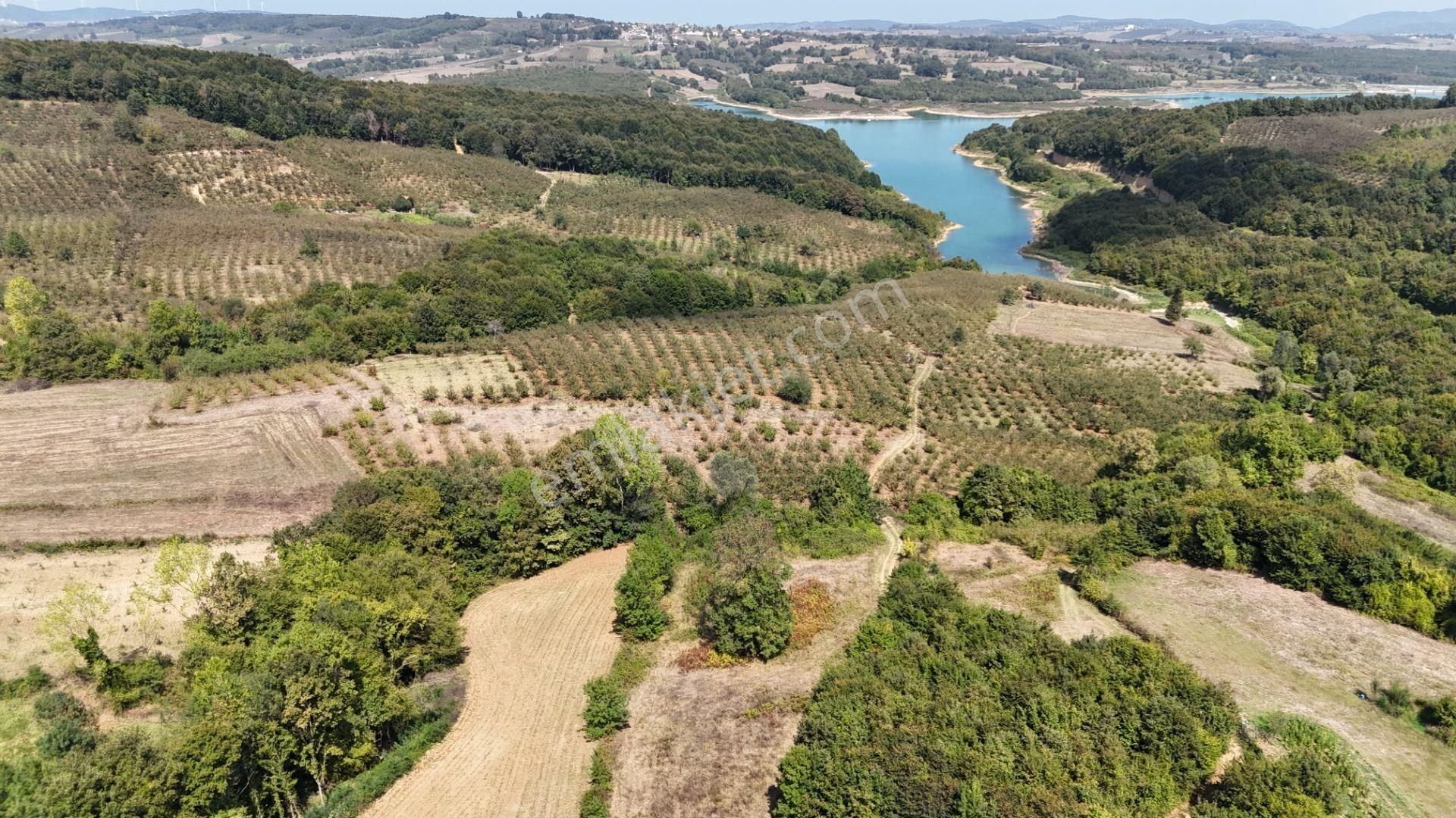 Altın Emlaktan Kandıra Sarnıçlarda 2412 Metrekare Tarla