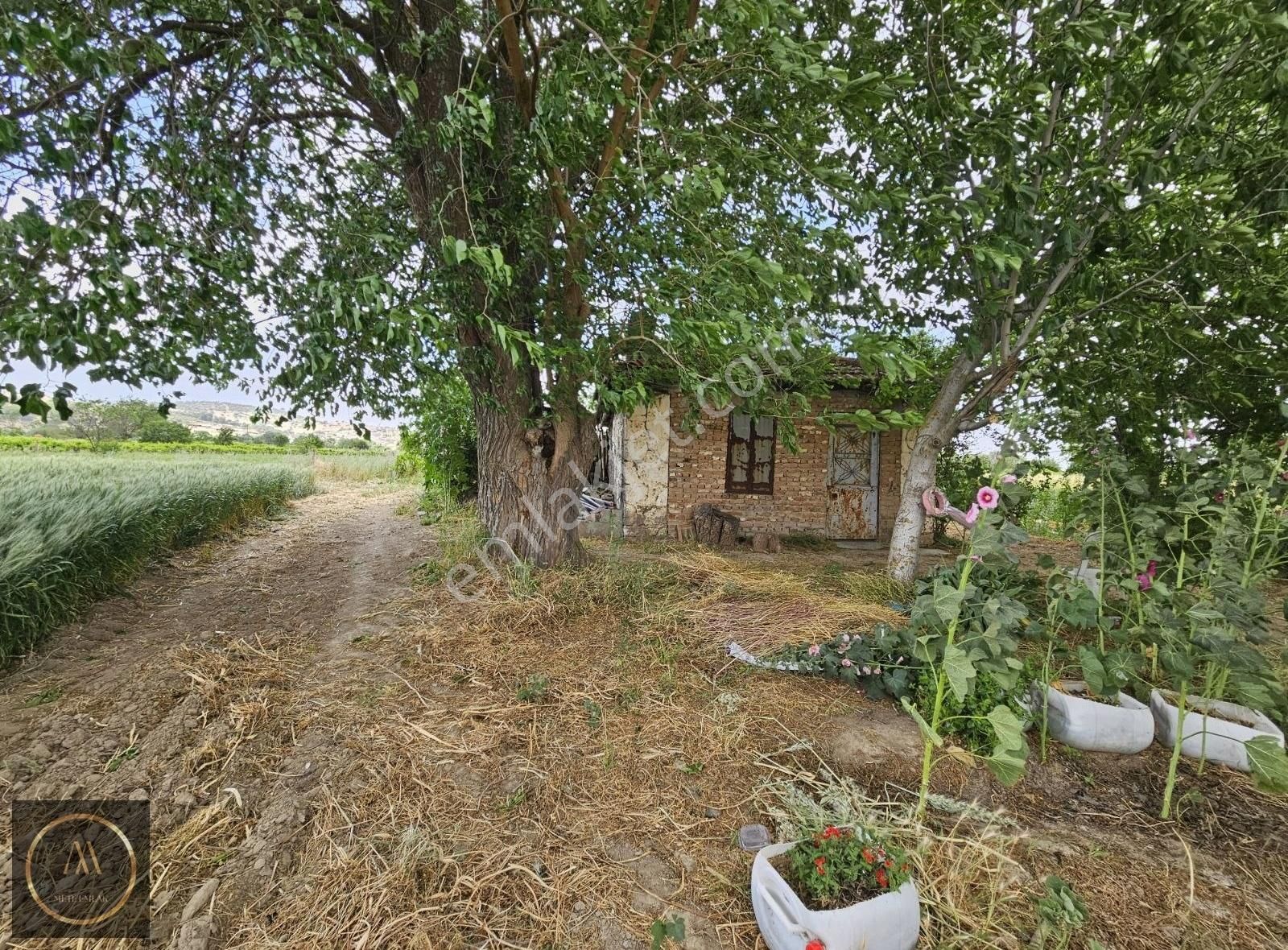 Cbü Kampüs Yakını Satılık Kelepir Tarla 1250 M2