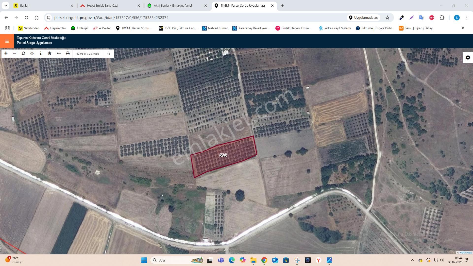 Yetişkin Zeytinlik - Görsel 13