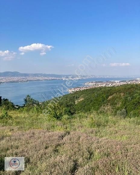 Remax Natural'den Kocaeli Halıdere'de Deniz Manzaralı Tarla
