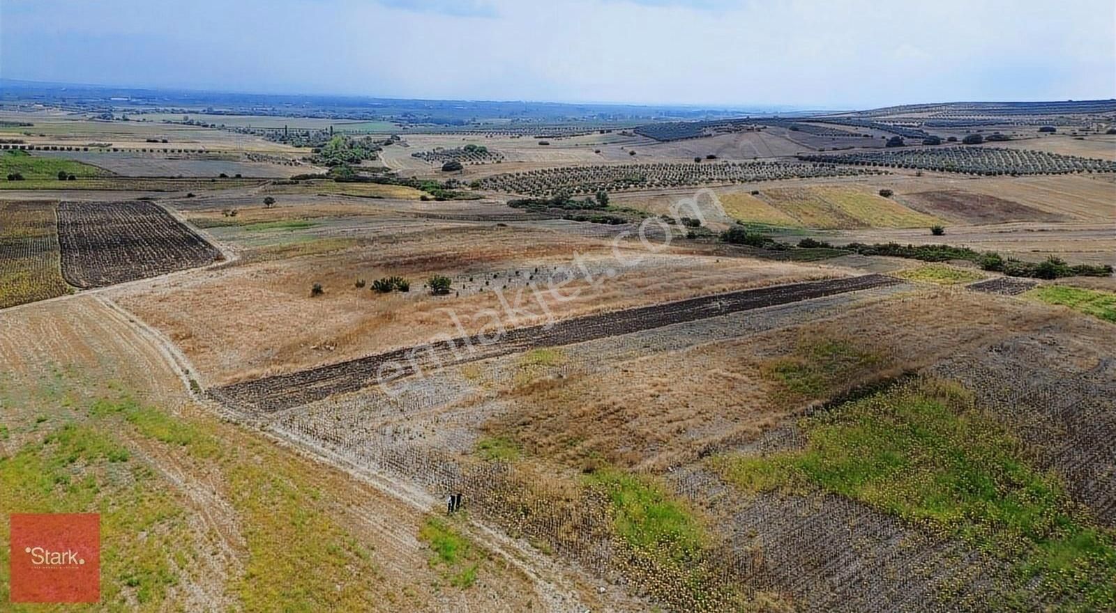 Karacabey Tophisar 10.000m2 Tek Tapu Satılık Tarla