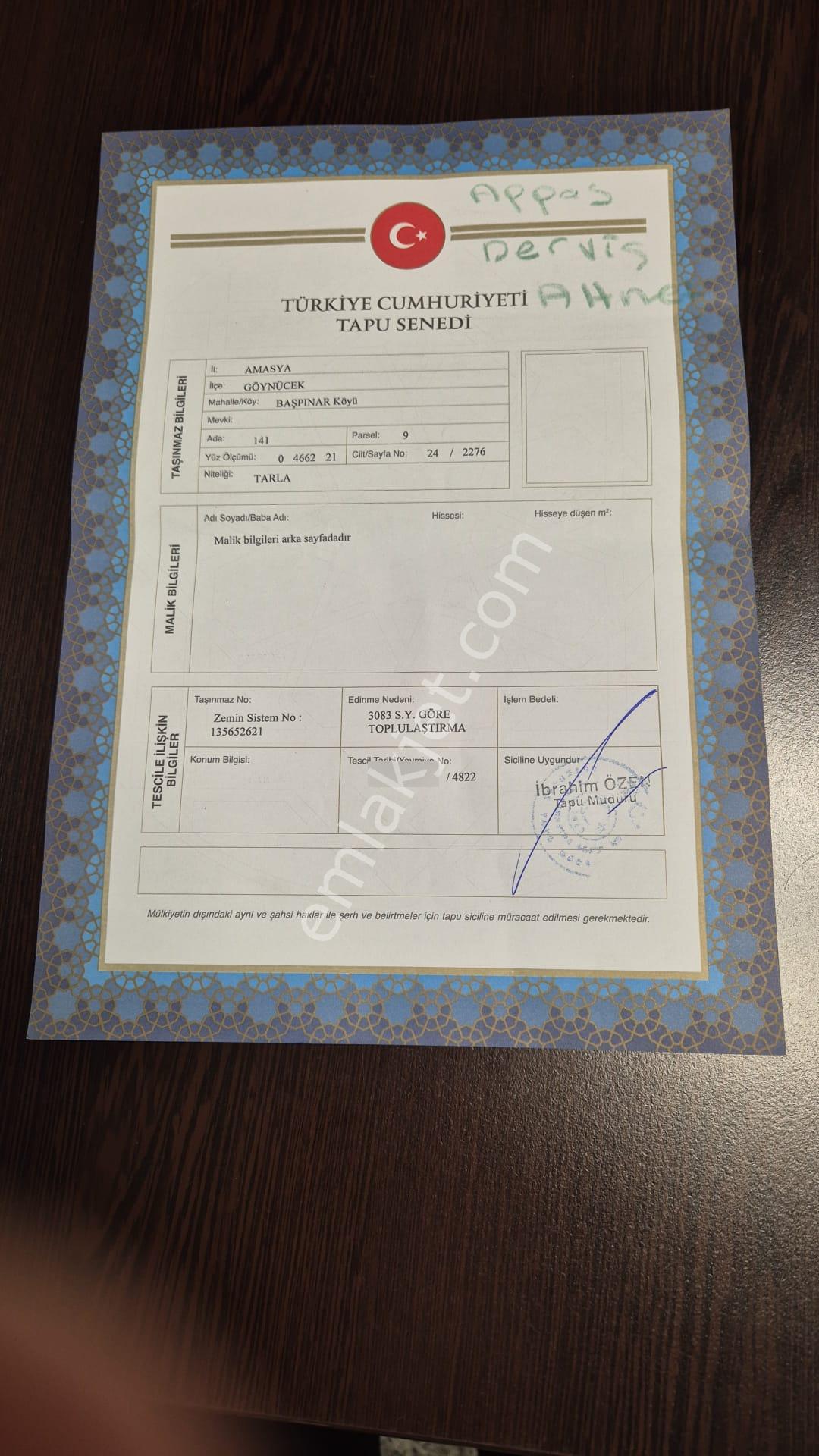 Göynücek,başpınar Köyü, Kaplıcalara,yakın,müstakil,tapulu,satılık Tarla - Görsel 5