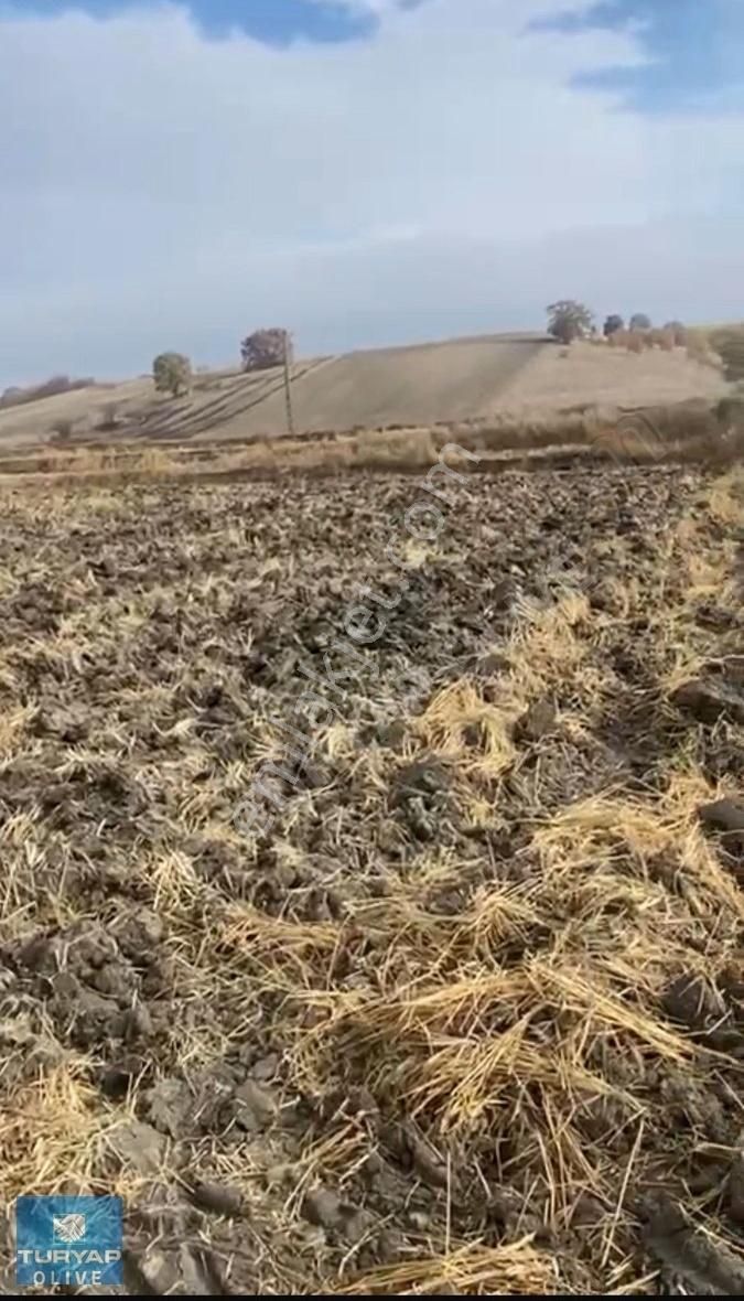 Edirne Havsa Şerbettar Köyü Satılık Arsa