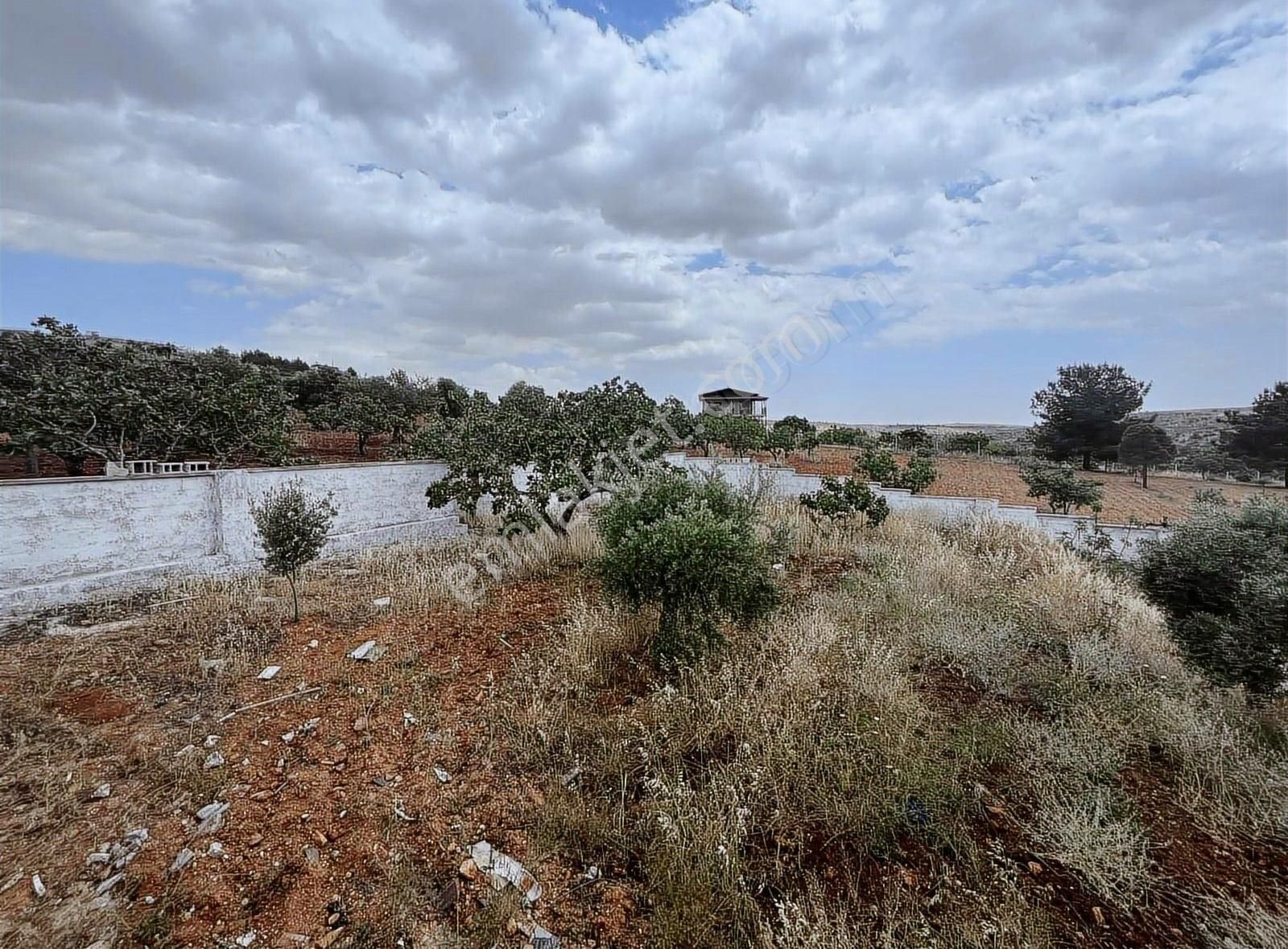 Aksoy Emlaktan Oğuzeli Subaşında Elektriği Suyu Mevcut Bağ Evi - Görsel 28