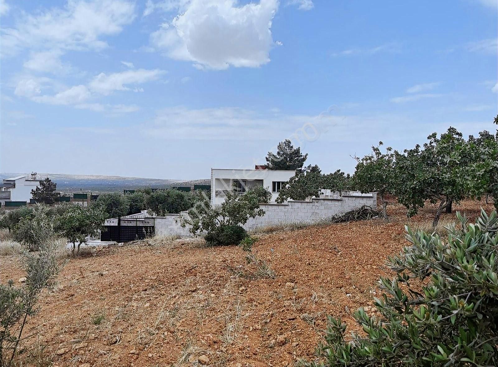 Aksoy Emlaktan Oğuzeli Subaşında Elektriği Suyu Mevcut Bağ Evi - Görsel 22