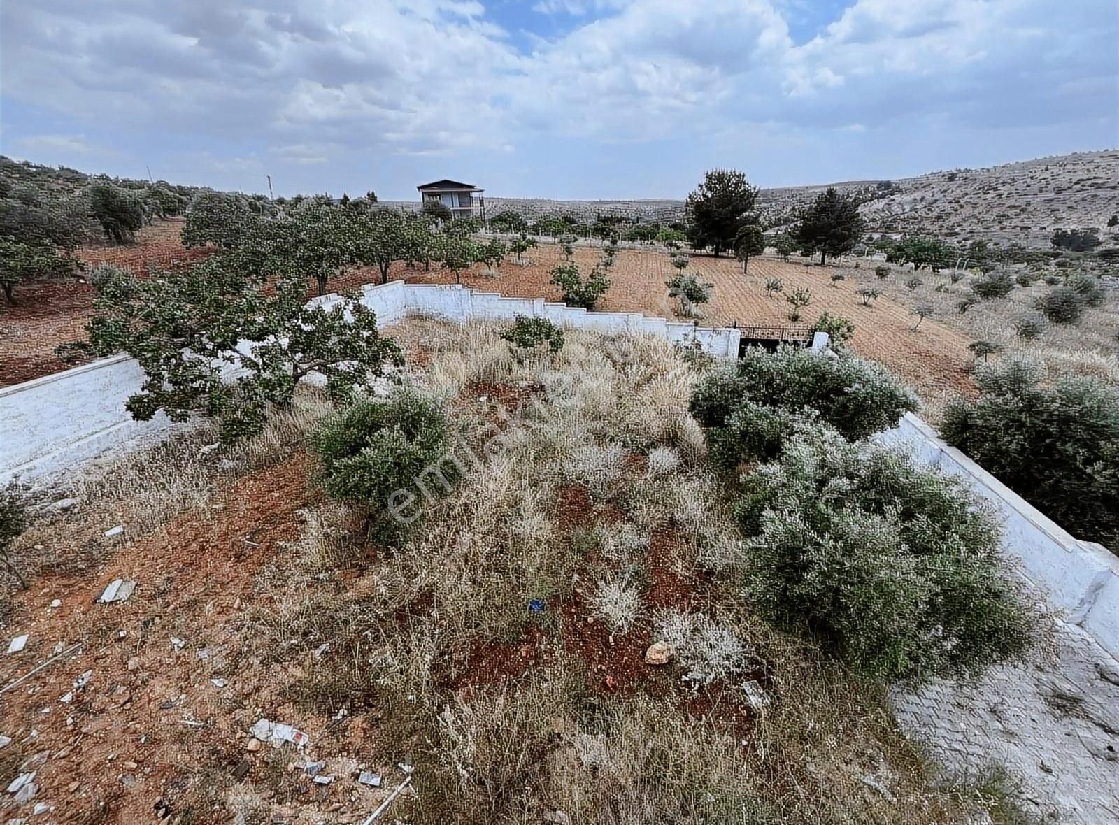 Aksoy Emlaktan Oğuzeli Subaşında Elektriği Suyu Mevcut Bağ Evi - Görsel 26