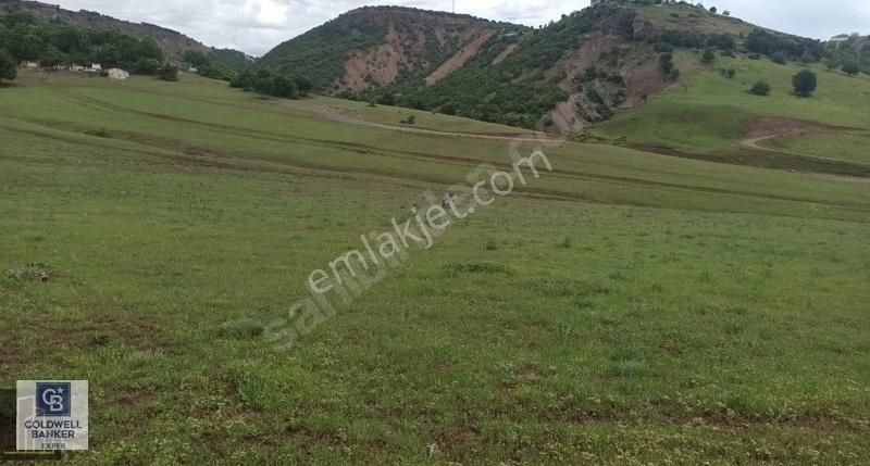 Tunceli' De Ana Yola Yakın Arsa Fırsatı