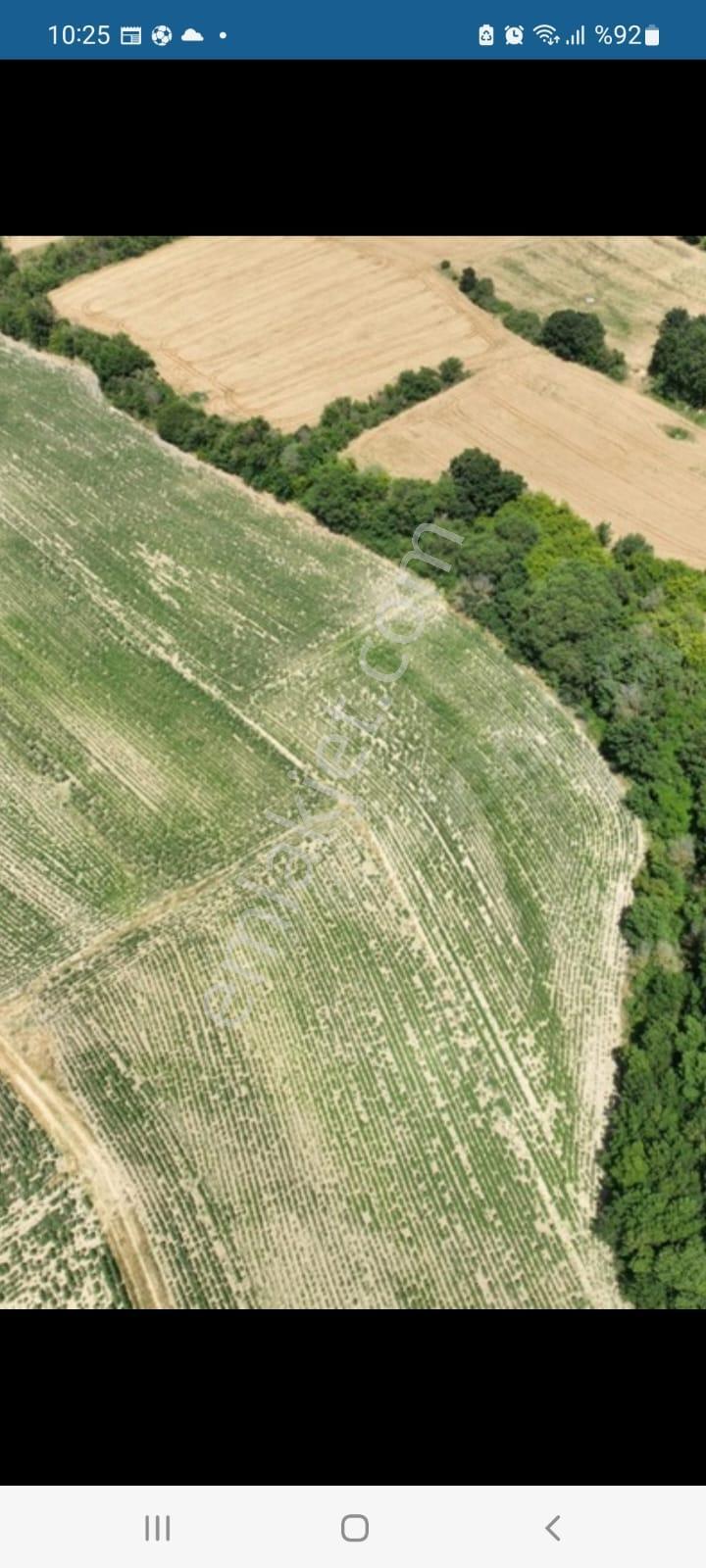 Kırklareli Pınarhisar Kaynarca Akarlar'da Tek Tapu 5308 M2 - Görsel 2
