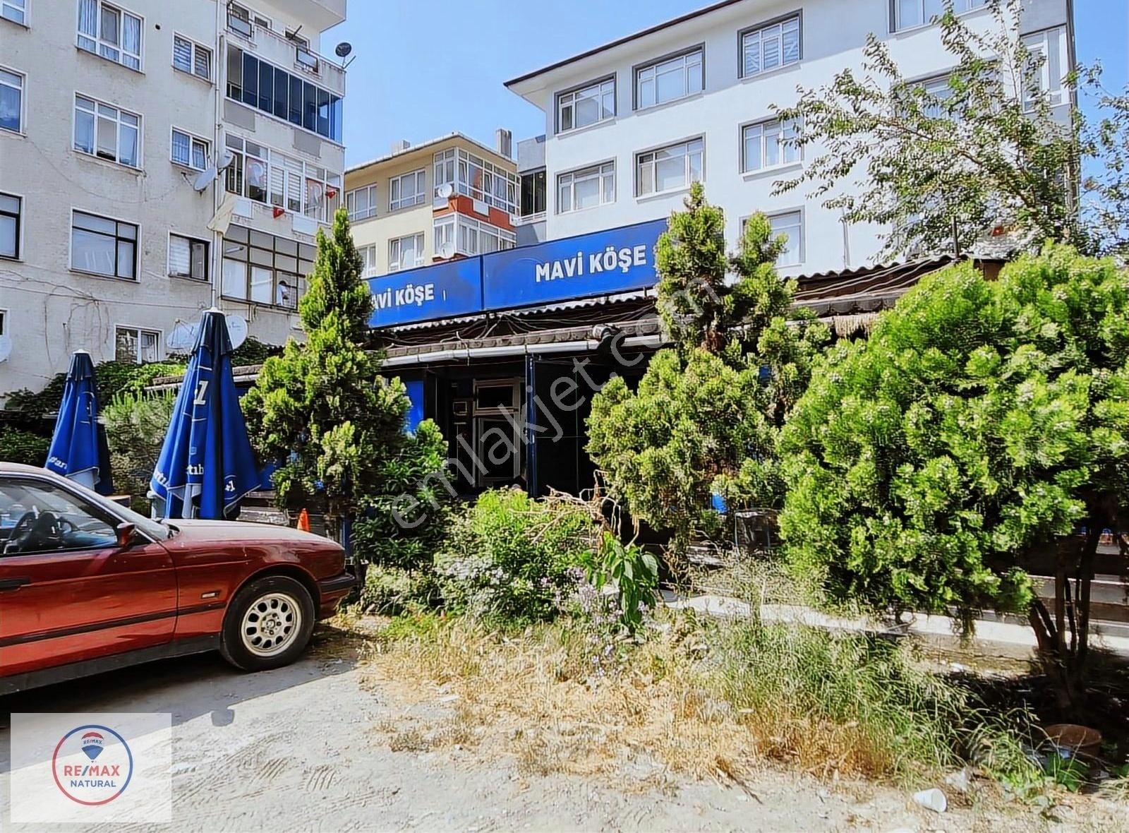 D.dere'de Yüksek Cirolu Devren Satılık Alkol Ruhsatlı Restoran - Görsel 9