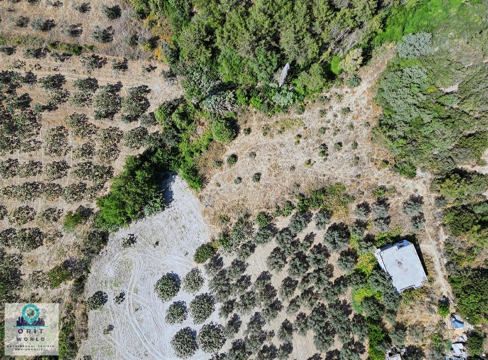 Mudanya Altıntaş 2800m2 Fırsat Tarla