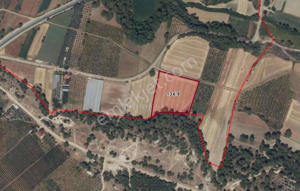 Fethiye – Kaş Ana Yola Sadece 450 Metre Mesafede, Müstakil Tarla!