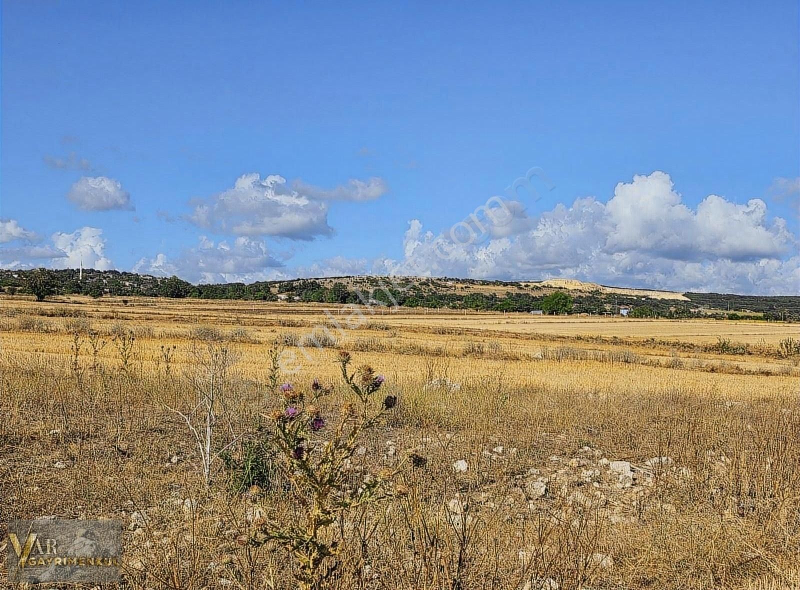 Vıze Evrenlıde 280 M2 Koye Yakın Konumda Hisseli Parseller