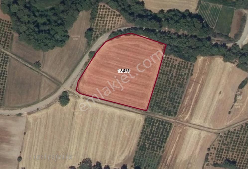 Fethiye – Kaş Ana Yola Sadece 450 Metre Mesafede, Düz Zemin Müstakil Tarla!