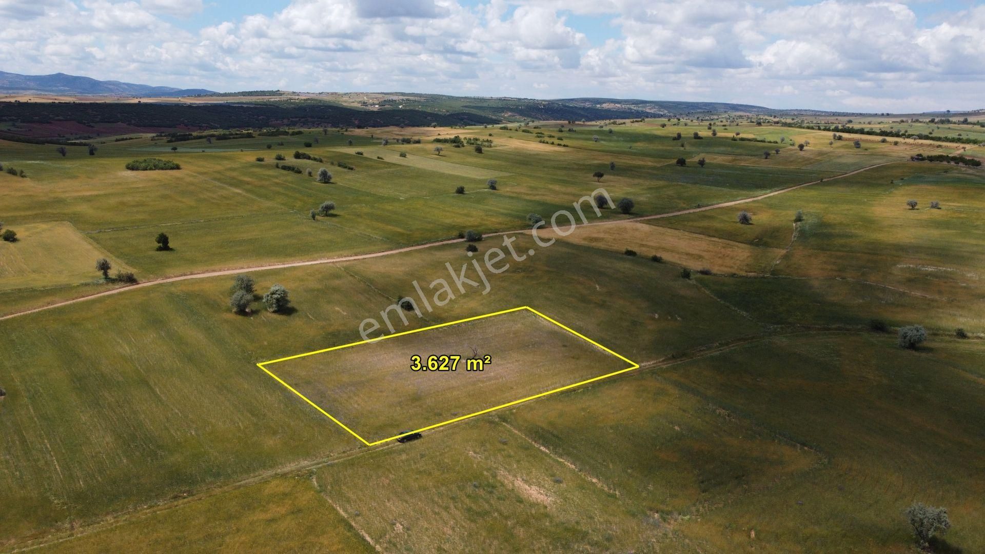 Konya / Beyşehir / Yenidoğan-sarayyolu 3.627 M² Tarla