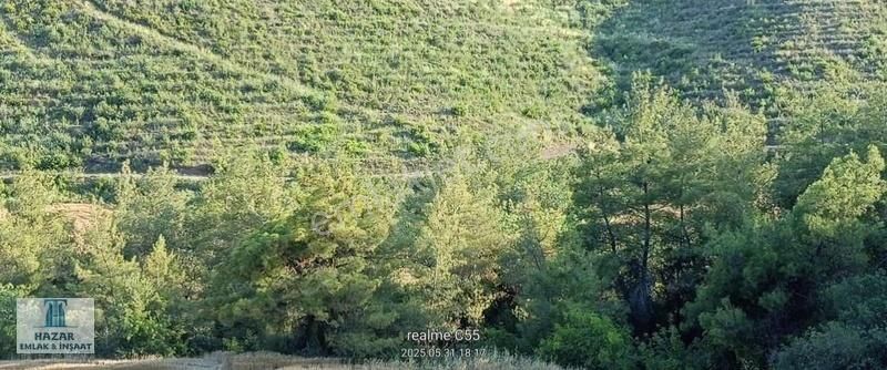 Hazar'dan Çakallı Da Uygun Arsa - Görsel 4