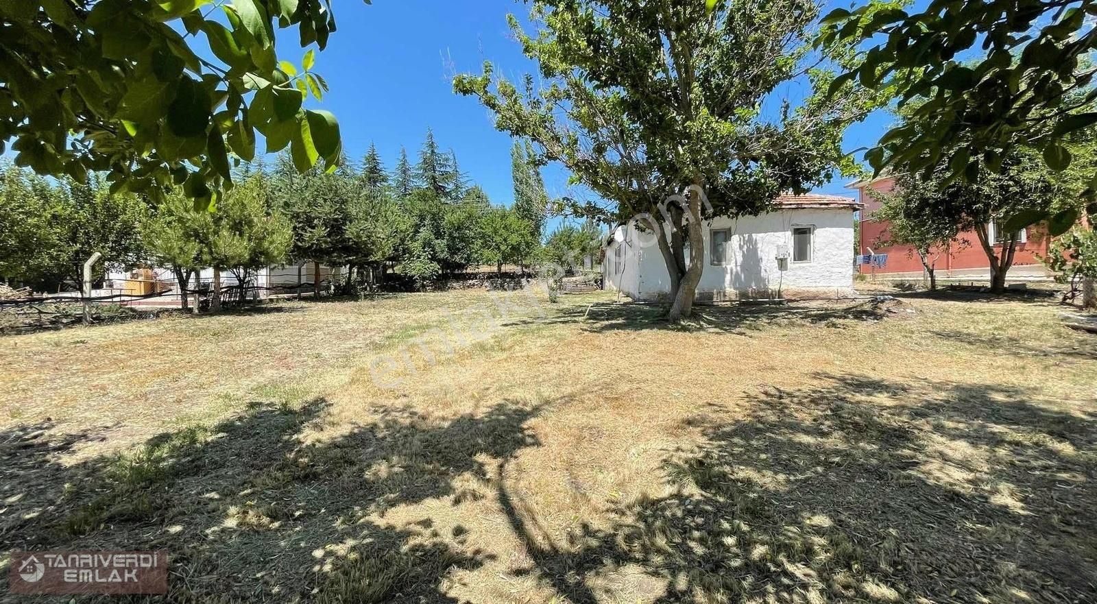 Tanrıverdi'den Örencik Bağlarda Tek Tapu Hazır Bahçe 3.150.000₺