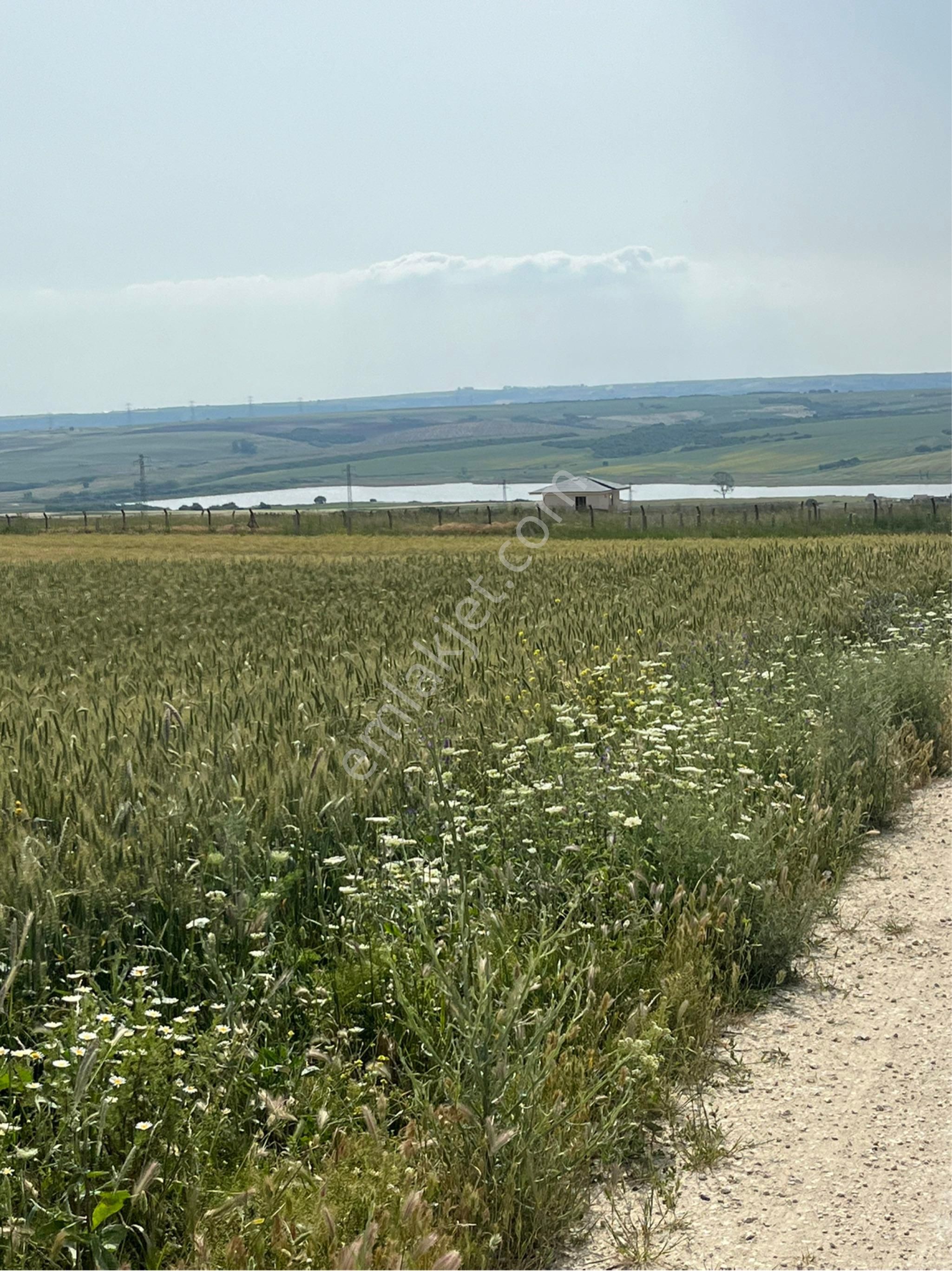 Silivride Satılık İmarlı Arsalar Yarı Peşin Yarı Taksitli Arsalar - Görsel 7