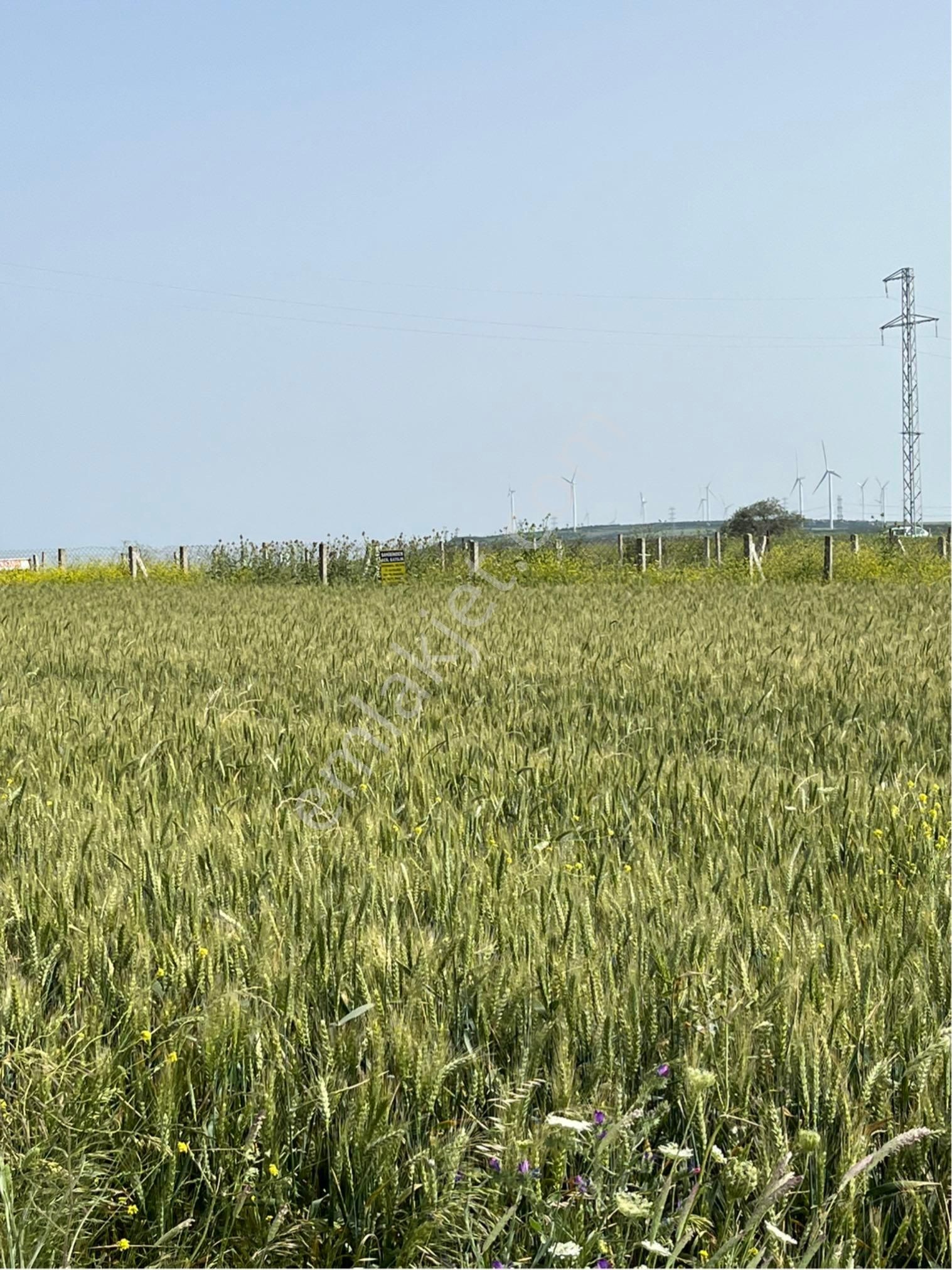 Silivride Satılık İmarlı Arsalar Yarı Peşin Yarı Taksitli Arsalar - Görsel 8