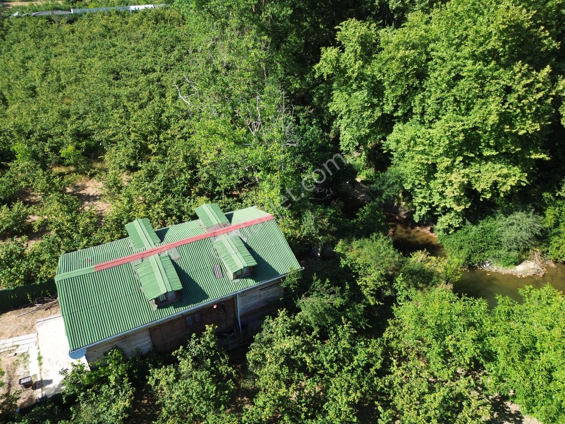 Şile Ağva Kalemköy’de Ahşap 2 Katlı Huzur Dolu Bir Yaşam Alanı - Görsel 11