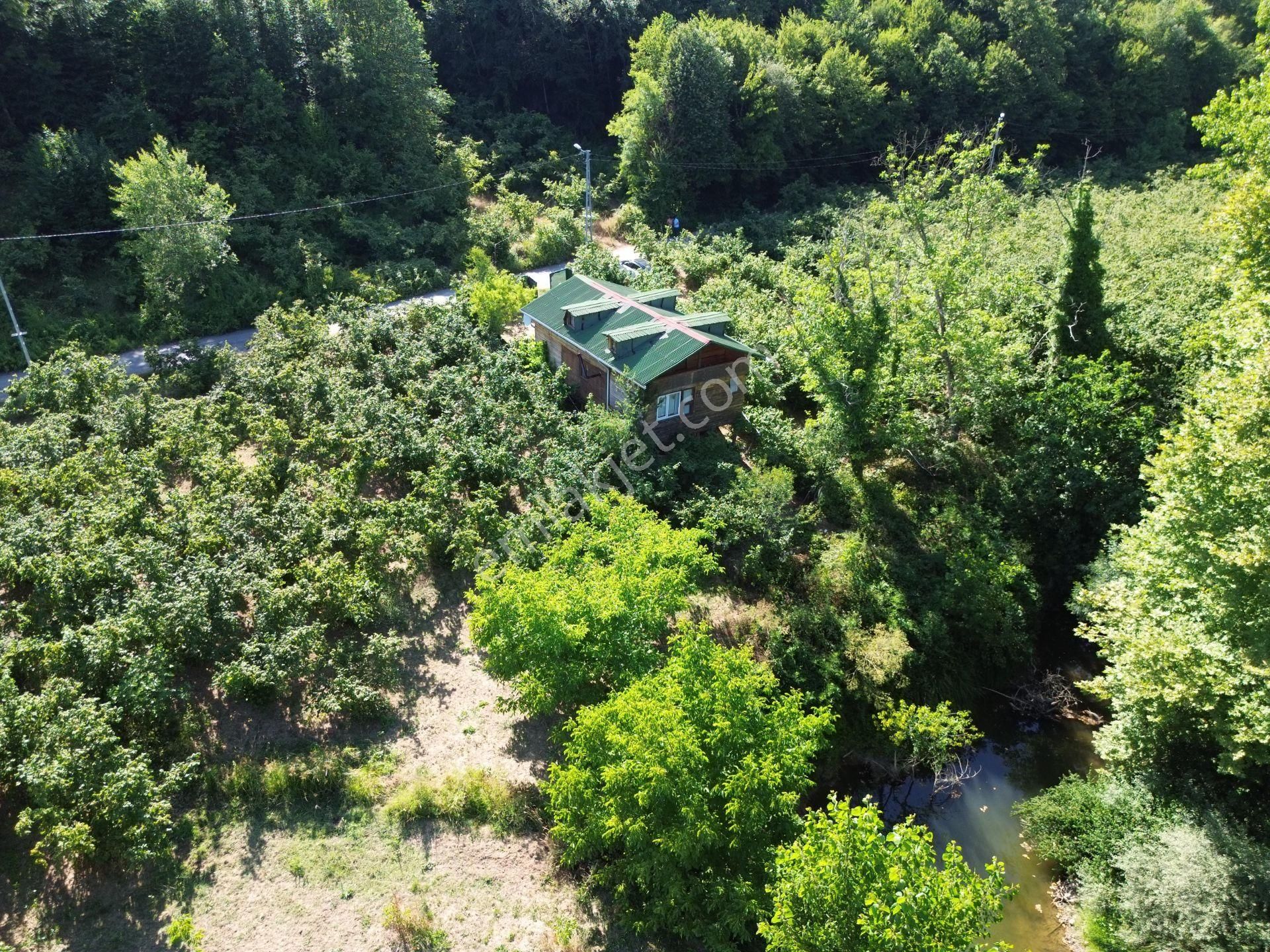 Şile Ağva Kalemköy’de Ahşap 2 Katlı Huzur Dolu Bir Yaşam Alanı - Görsel 4