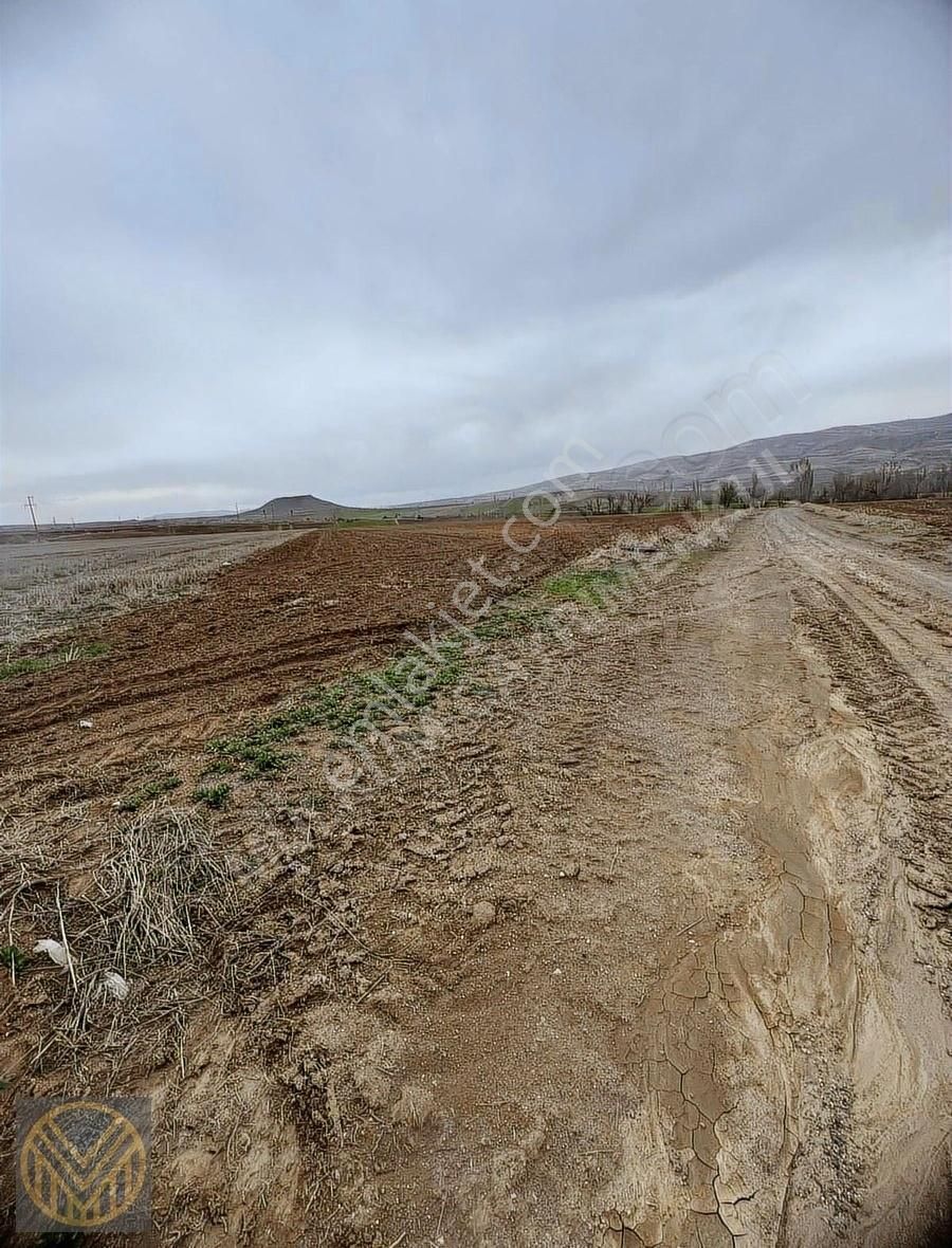 Baraj Manzaralı Sulu Tarla