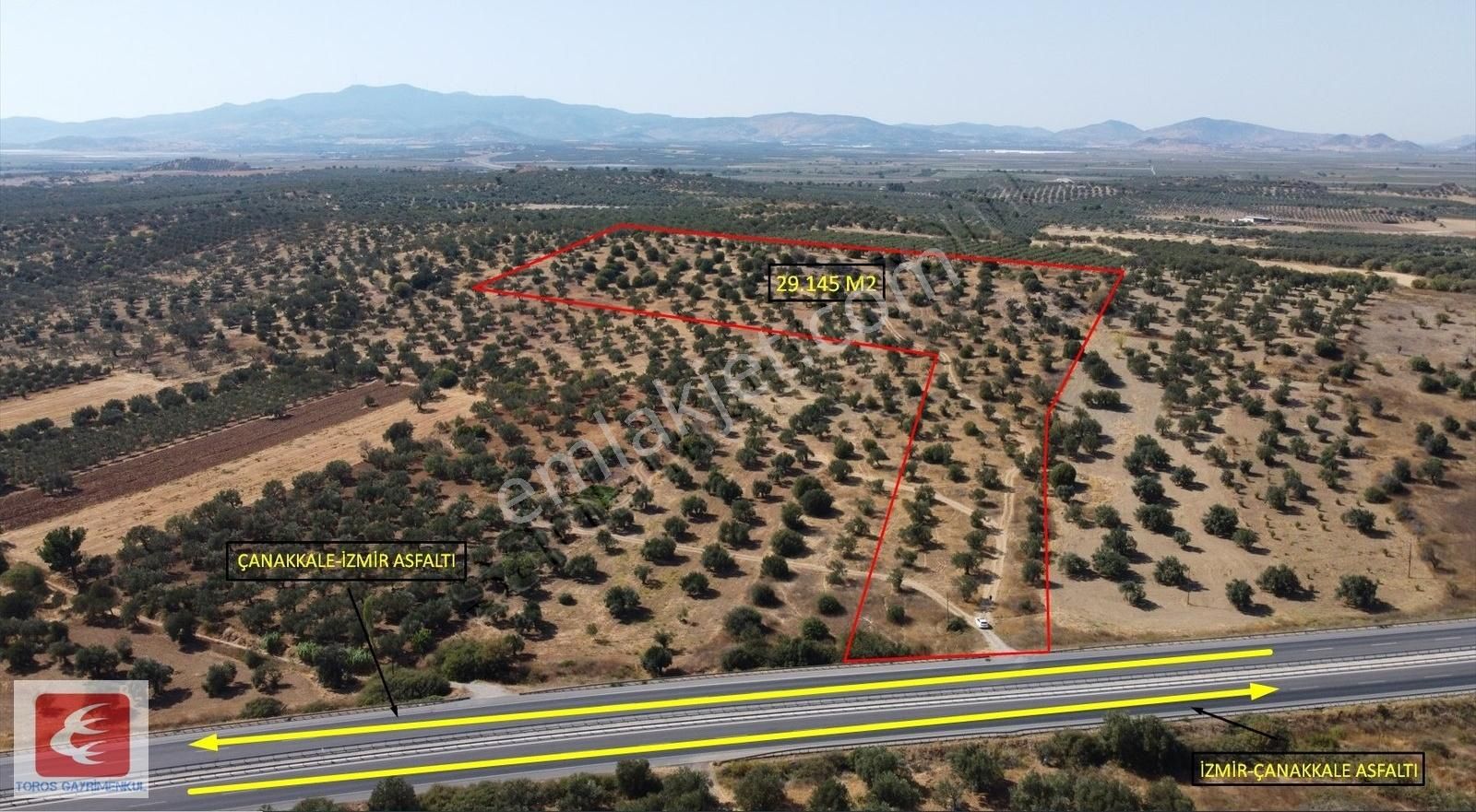 Bergama Zeytindağ Satılık 29.145 M2 Deniz Manzaralı Zeytinlik