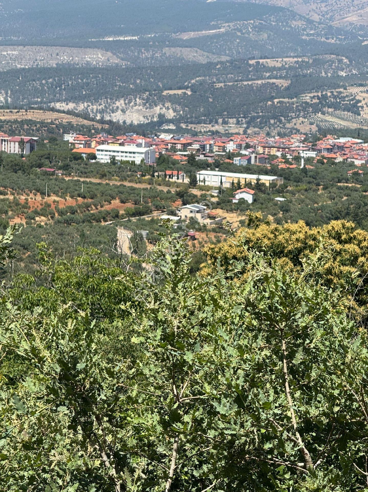 Doğru Emlak'tan Karacasu Küçükdağlı'da Satılık Arazi - Görsel 4