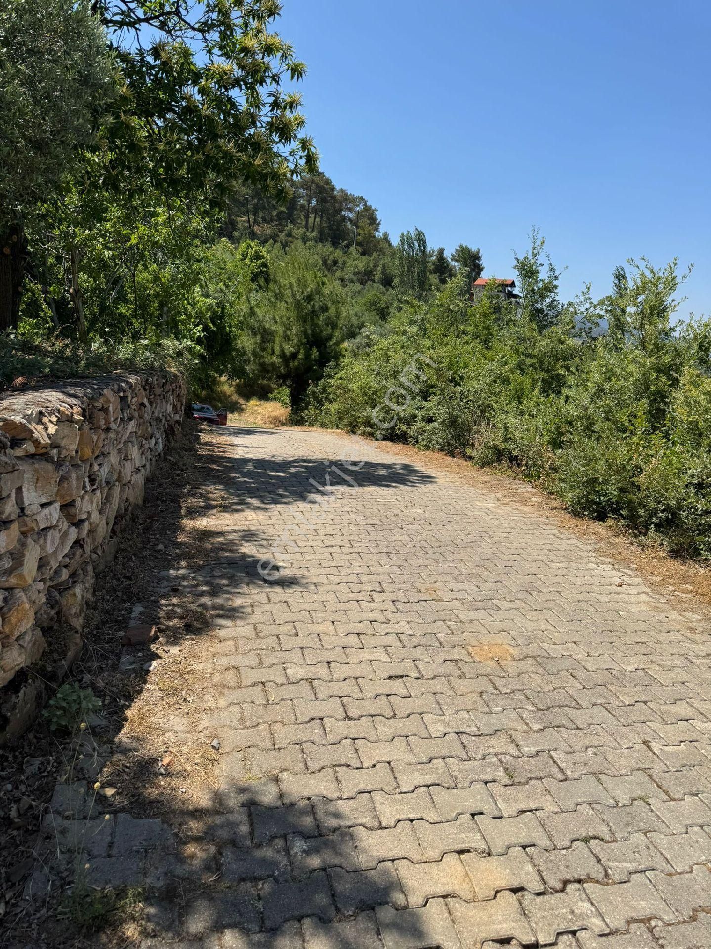 Doğru Emlak'tan Karacasu Küçükdağlı'da Satılık Arazi