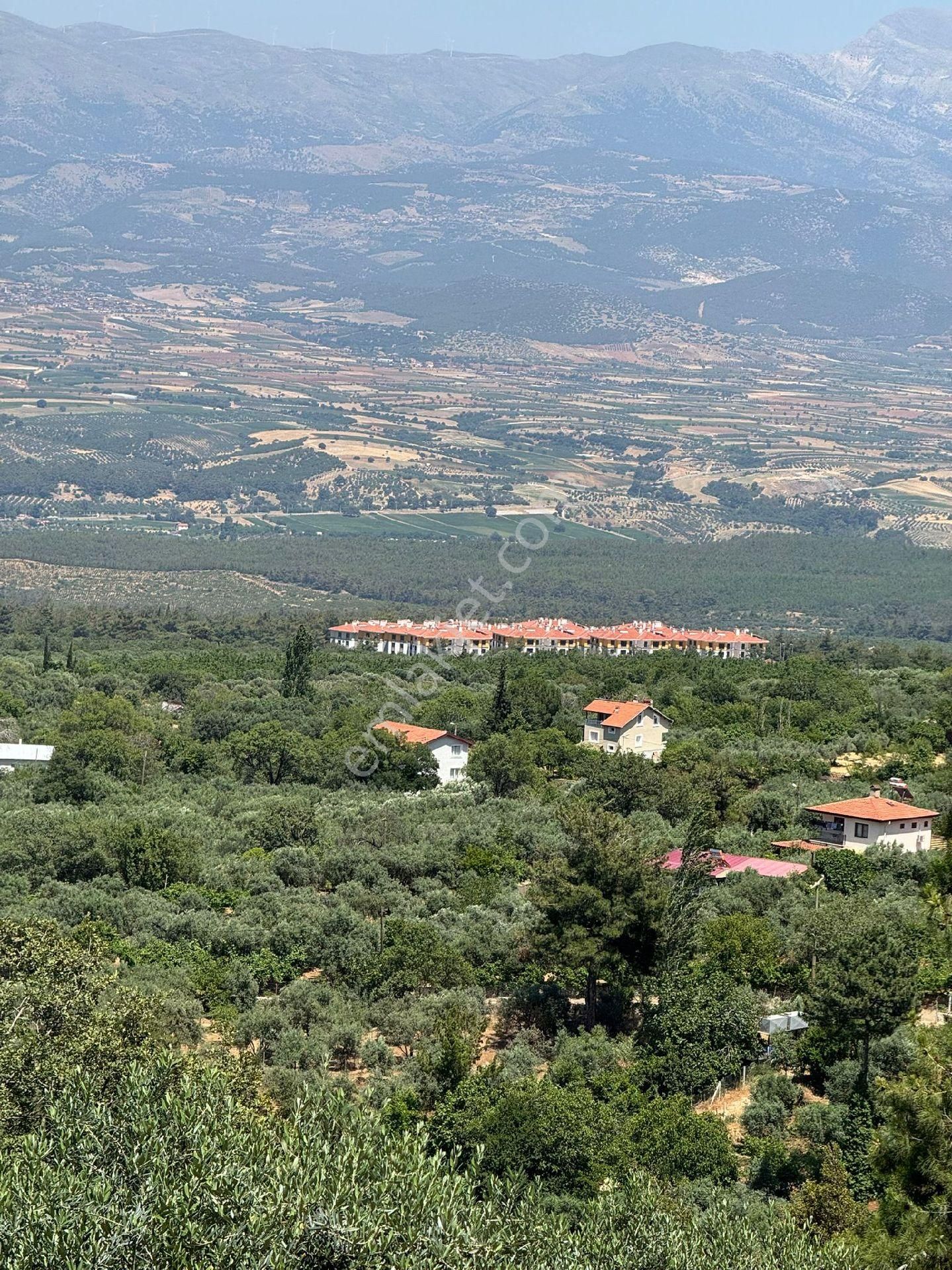 Doğru Emlak'tan Karacasu Küçükdağlı'da Satılık Arazi - Görsel 6