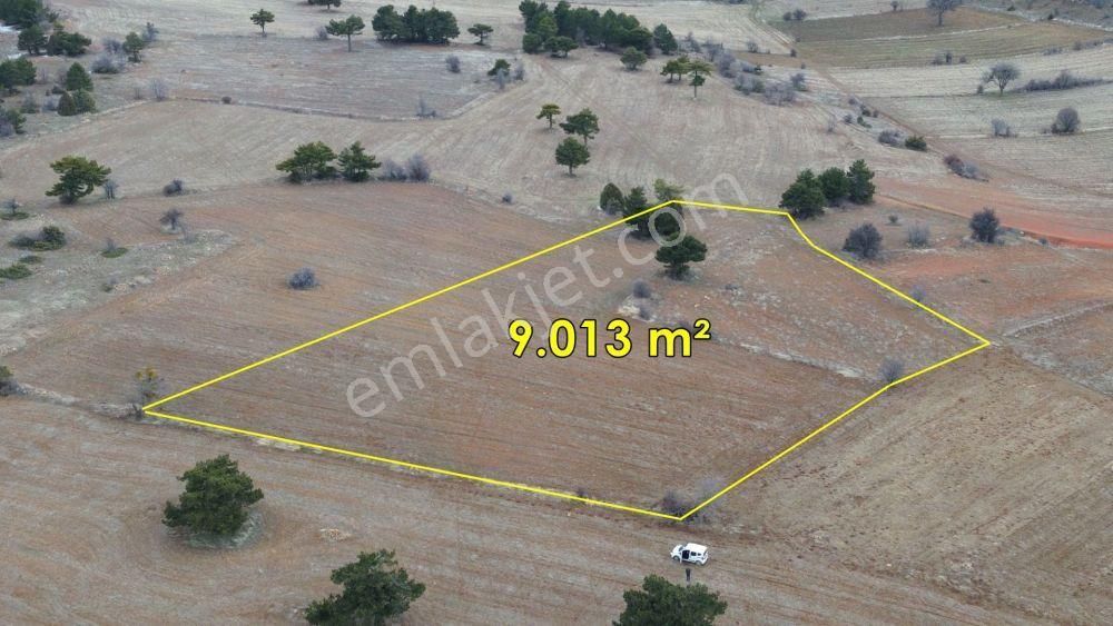 Ilgın Yukarıçiğil De 9.013 M2 Müstakil Tapulu Tarla