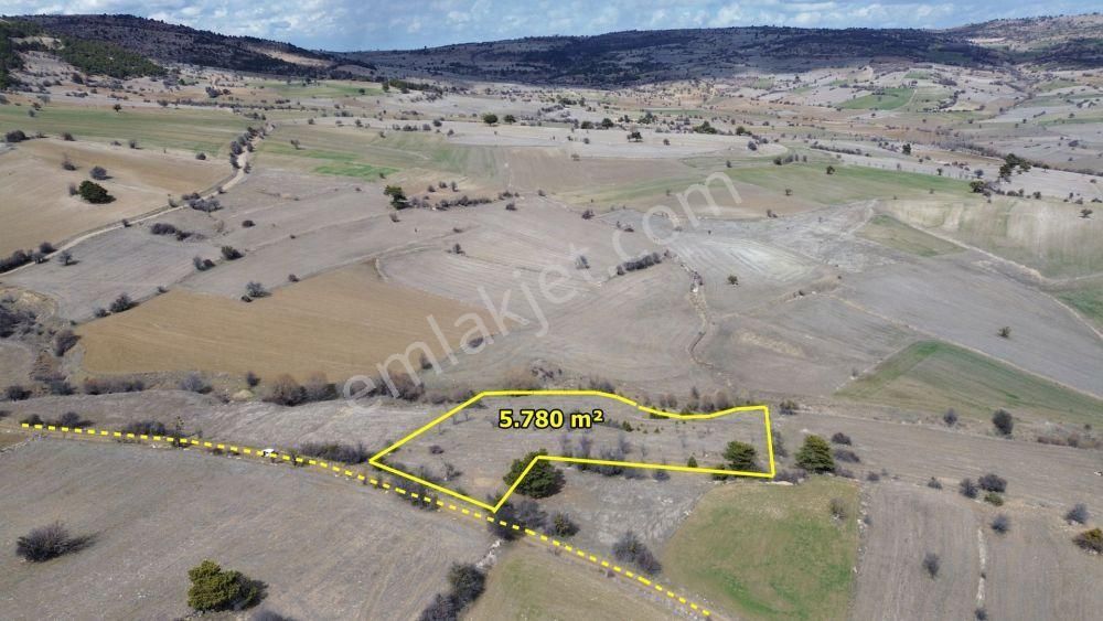 Ilgın Yukarıçiğil De 5.780 M2 Müstakil Tapulu Tarla