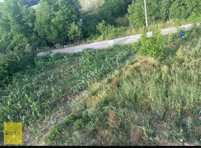 Başiskele Yaylacık Mah. De Konut İmarlı Arsa