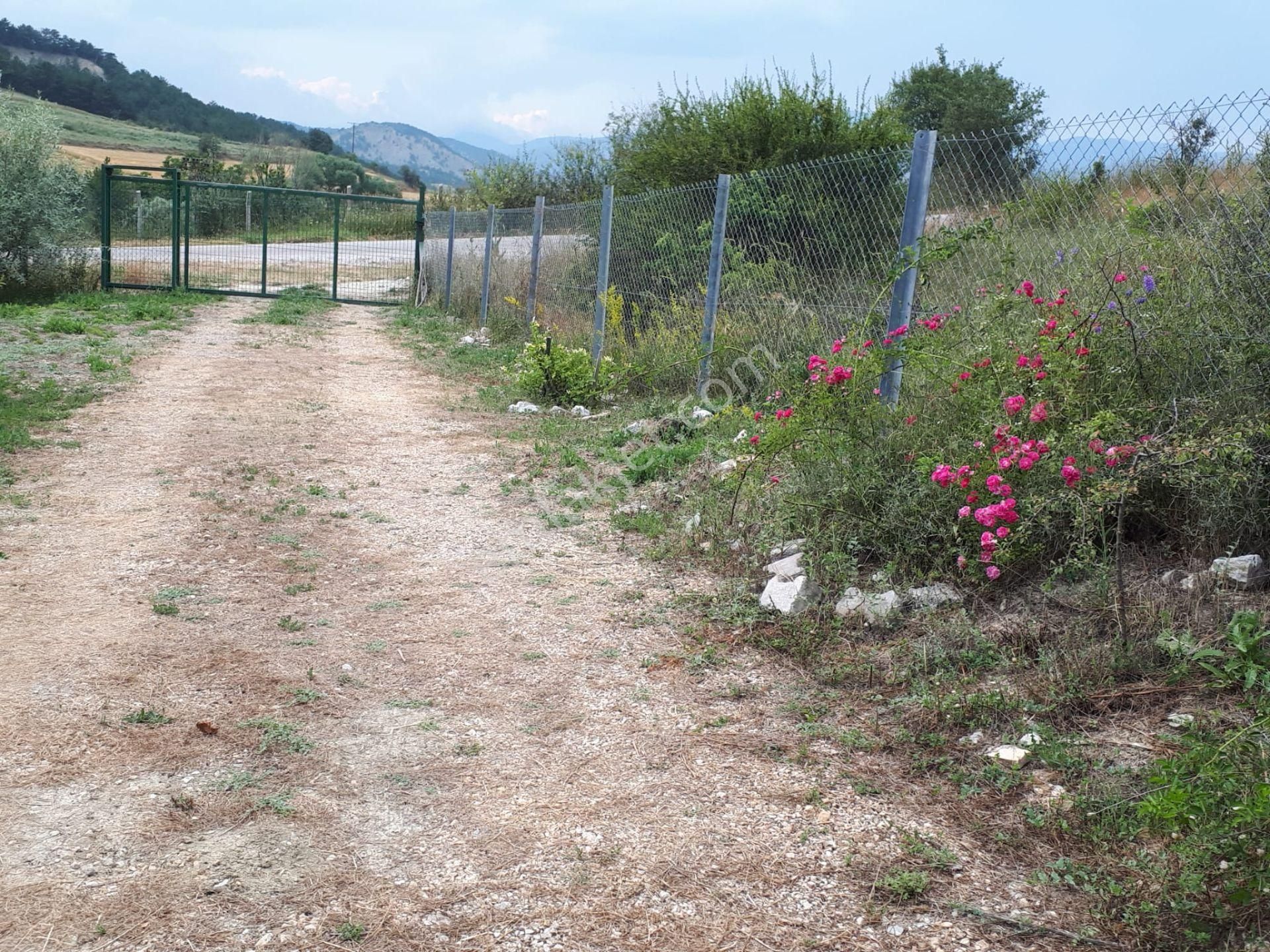 Mudurnu Dolayüz Köyünde Bahceli Müstakil Ev Altındağ Gayrimenkul - Görsel 16