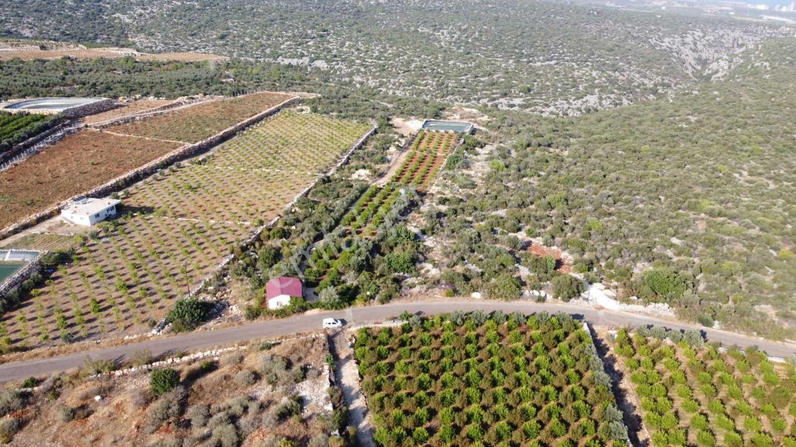 Kale Emlaktan Ayaş Kızılbağ Da Satılık Limon Bahçesi Ve Ev - Görsel 4
