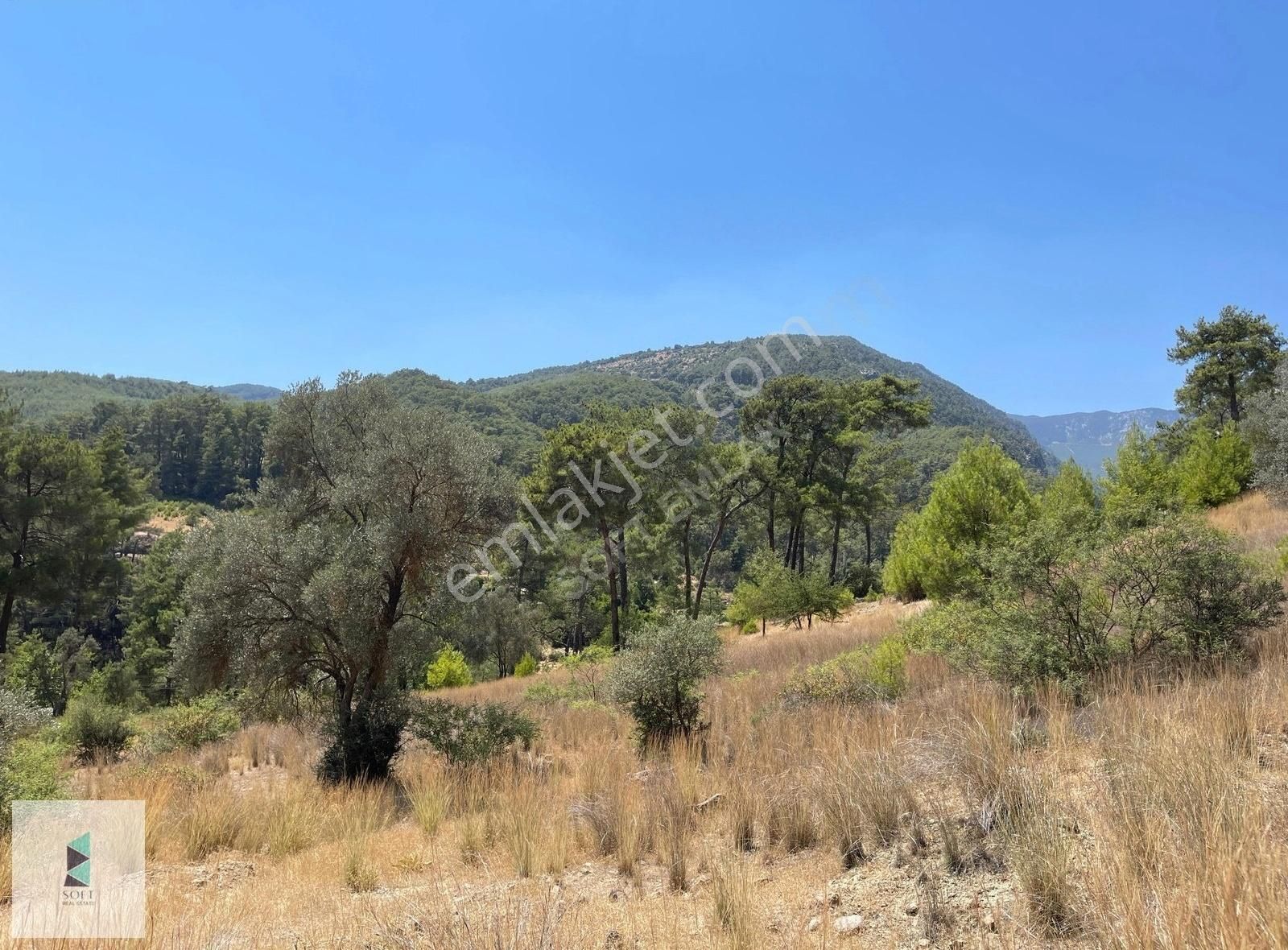 Kaş Kemer Mahallesinde Tek Tapu 3700 M2 Satılık Arsa