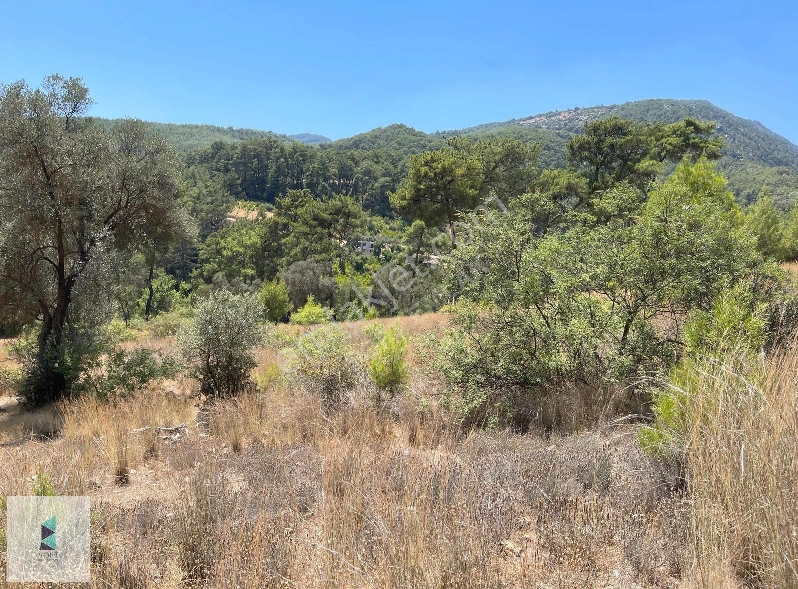 Kaş Kemer Mahallesinde Tek Tapu 3700 M2 Satılık Arsa - Görsel 2