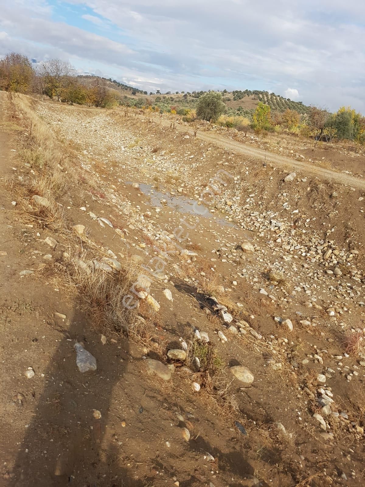 Acil Satılık Hobi Bahçesi - Görsel 5