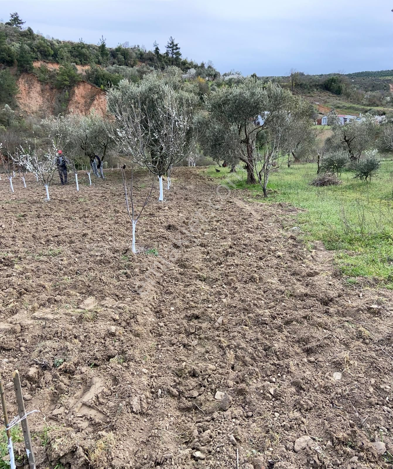 Ağabey Gayrimenkul Den Bozkır Mahallesinde Satılık Dağ Evi - Görsel 5