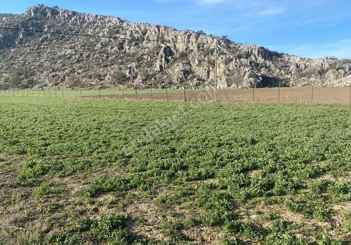 Burdur İli Bucak İlçesi Barboros Mahallesinde Satılık Tarla - Görsel 4