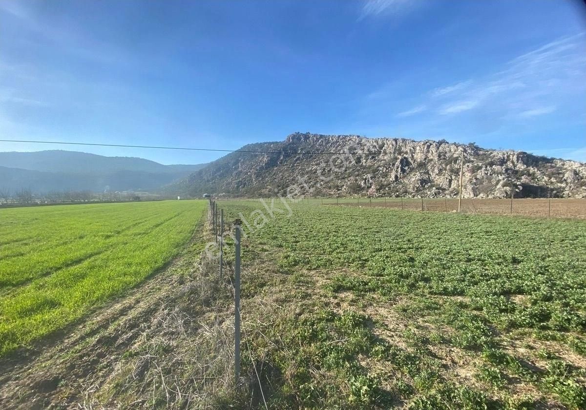 Burdur İli Bucak İlçesi Barboros Mahallesinde Satılık Tarla - Görsel 5