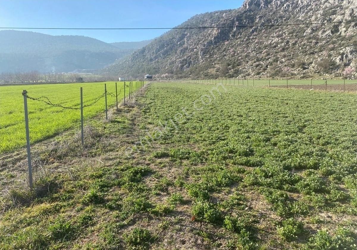 Burdur İli Bucak İlçesi Barboros Mahallesinde Satılık Tarla