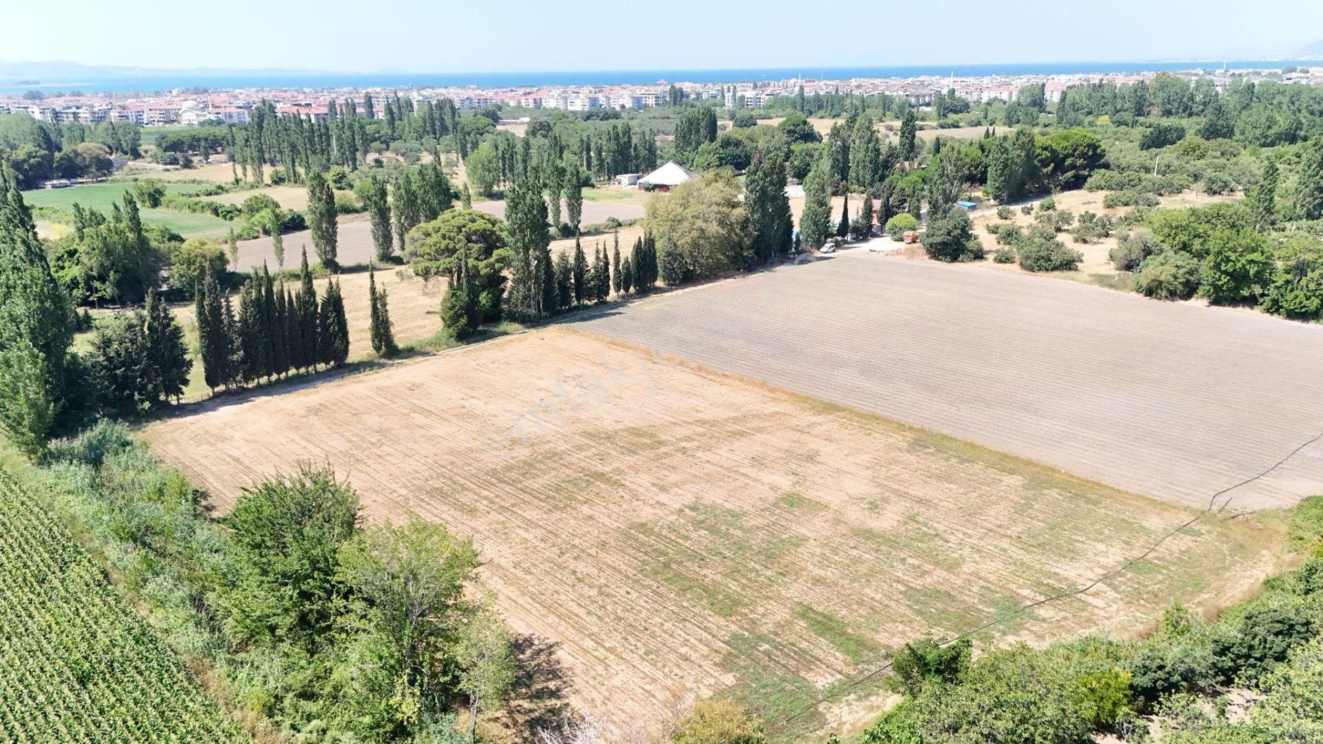 Ortaharmanlar Bölgesinde Kadastro Yol Cepheli 9 Dönüm Tarla