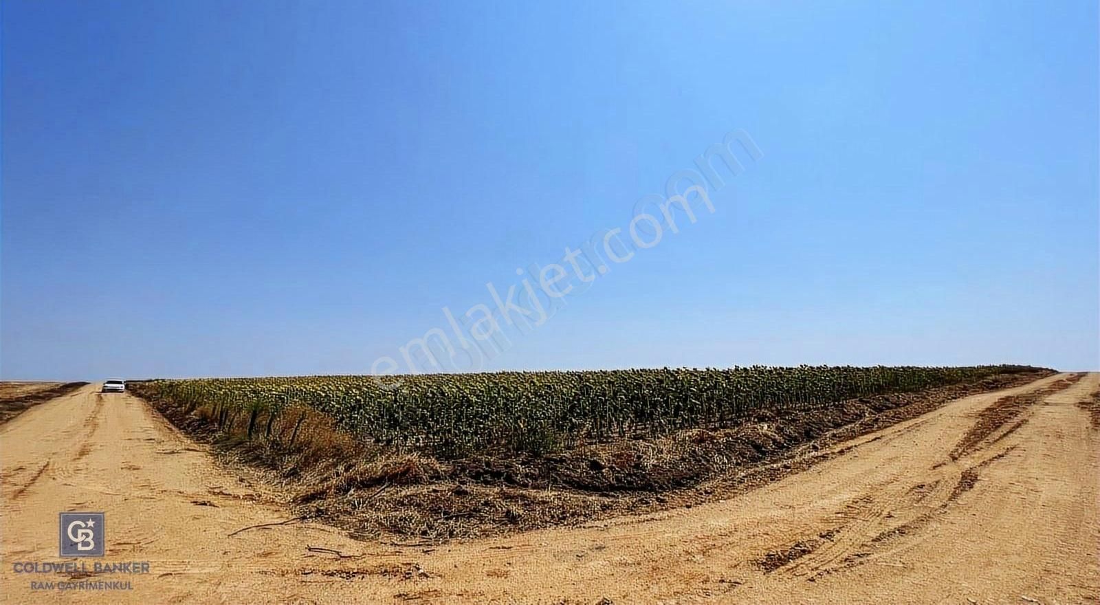 Havsa Hasköyde Çift Kadastral Yola Cephe Müstakil 3866 M2 Tarla