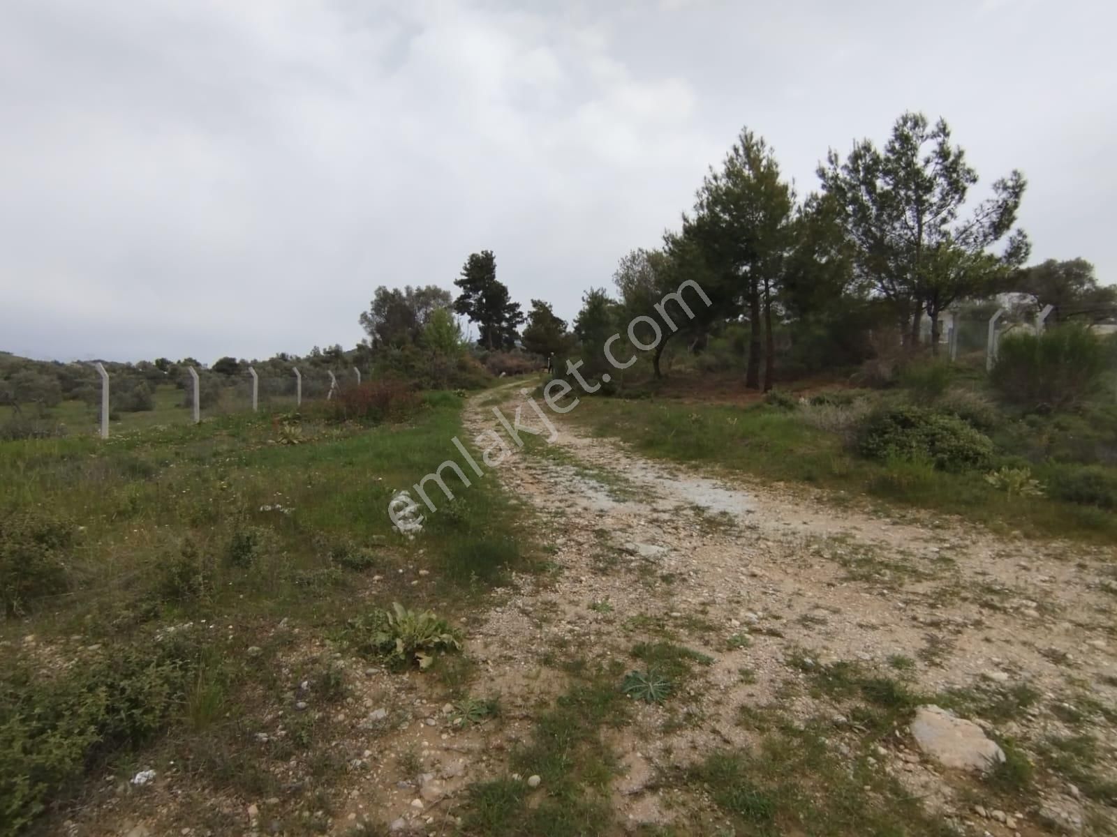 Acil Buca Kırıklar Cezaevi Yakını 2 Dönüm Tek Tapulu Tarla - Görsel 6